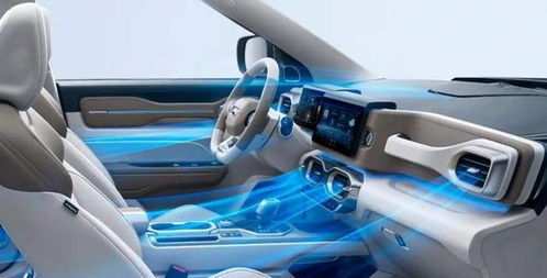 以為只是買輛家用車，沒想到就這樣擁有了健康出行生活